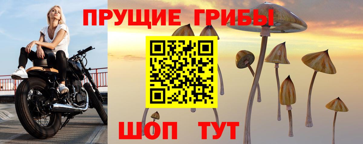 Псилоцибиновые грибы ЛСД Азнакаево